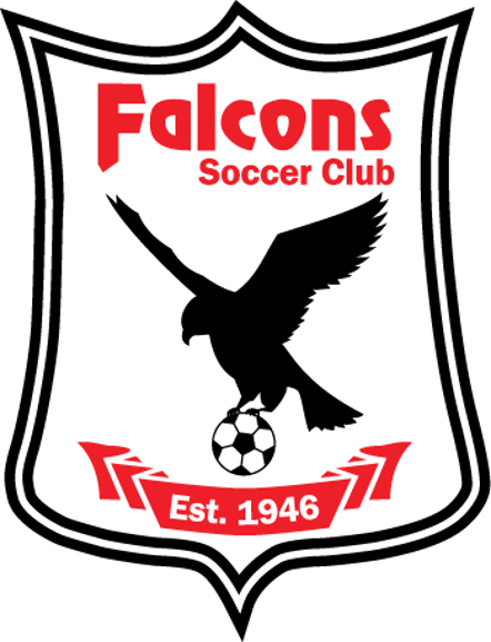 Falcons Logo
